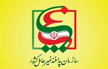 جاسوس اعدام شده سمتی در سازمان پدافند غیرعامل نداشته است