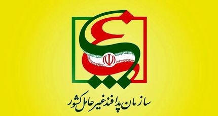 جاسوس اعدام شده سمتی در سازمان پدافند غیرعامل نداشته است