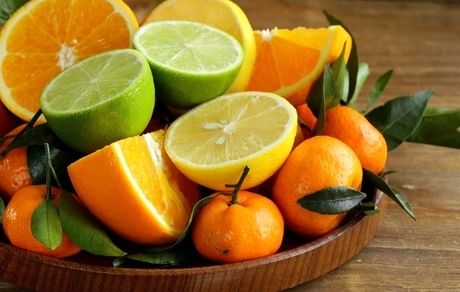 بیشترین مرکبات کشور در مازندران تولید می‌شود