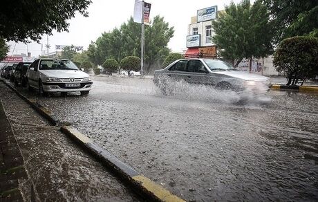 بارندگی در بوشهر نصف شد
