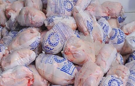 قیمت مرغ به ۳۰ هزار تومان رسید