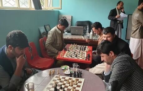 شطرنج در افغانستان حرام اعلام شد