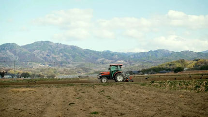 کشاورزی در فوکوشیما، ۱۲ سال پس از فاجعه هستهای از سر گرفته شد