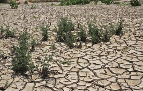 ۷ میلیون هکتار از بیابان‌های کشور در وضعیت فوق بحرانی