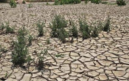 ۷ میلیون هکتار از بیابان‌های کشور در وضعیت فوق بحرانی