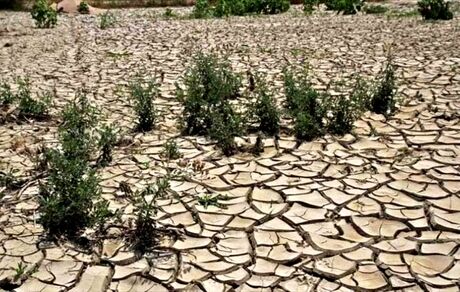 ۷ میلیون هکتار از بیابان‌های کشور در وضعیت فوق بحرانی
