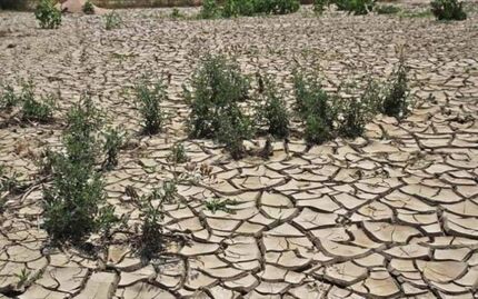 ۷ میلیون هکتار از بیابان‌های کشور در وضعیت فوق بحرانی