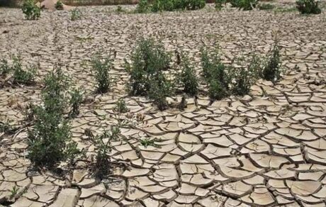 ۷ میلیون هکتار از بیابان‌های کشور در وضعیت فوق بحرانی