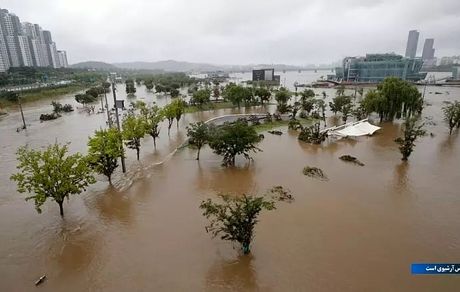 شدیدترین بارندگی در کره جنوبی موجب قطع برق و سیل شد