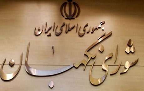 شورای نگهبان با تشکیل وزارت بازرگانی مخالفت کرد