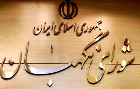 شورای نگهبان با تشکیل وزارت بازرگانی مخالفت کرد