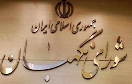 شورای نگهبان با تشکیل وزارت بازرگانی مخالفت کرد