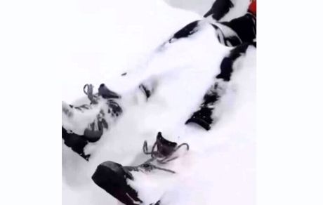 جان باختن کوهنورد ۷۰ ساله در قله توچال