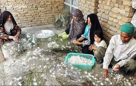 در یکسال گذشته چند نفر مجوز مشاغل خانگی گرفتند؟