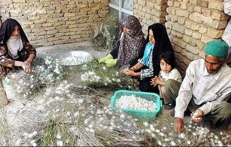 در یکسال گذشته چند نفر مجوز مشاغل خانگی گرفتند؟