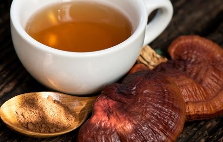 آیا نوشیدن چای قارچ شما را سالم تر می کند؟
