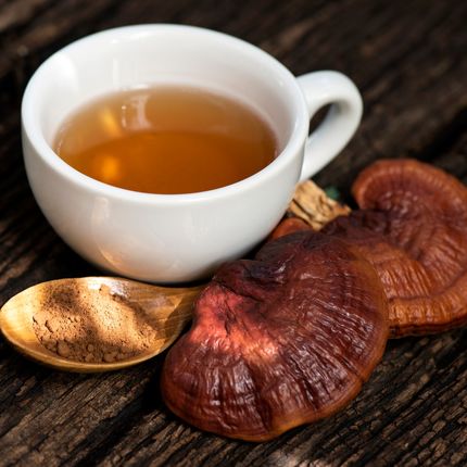 آیا نوشیدن چای قارچ شما را سالم تر می کند؟