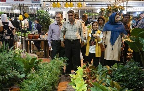 دهمین نمایشگاه گل و گیاه یزد آغاز شد