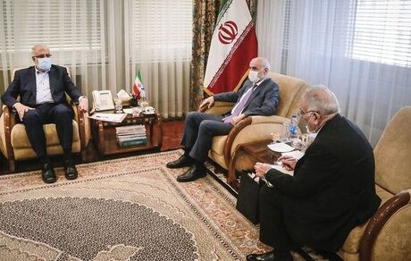 دیدار وزیر نفت با مشاور نخست‌وزیر ارمنستان و گفت و گو درخصوص گسترش روابط در حوزه انرژی