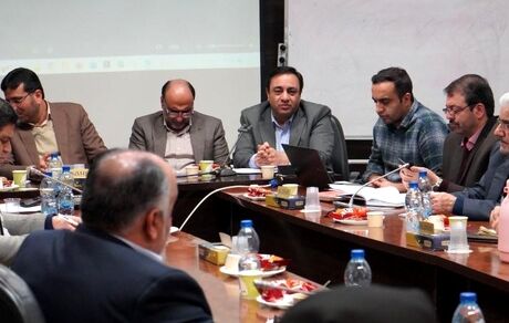 «جواد صالحی نیا»:بانک مسکن در اجرای طرح نهضت ملی یزد پیشتاز است
