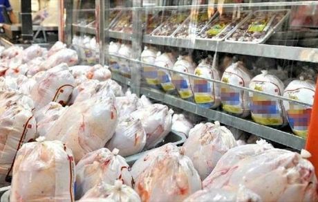 مرغ گرم به چرخه توزیع اینترنتی مرغ و تخم مرغ اضافه شد