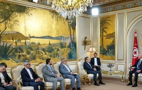تقدیر عراقچی از رویکرد اصولی تونس در قبال تحولات منطقه غرب آسیا