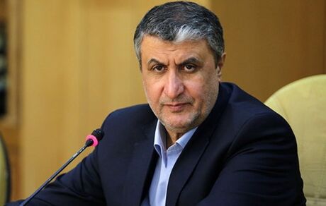 
وزیر راه از پرداخت تسهیلات حمایتی به شرکت های حمل و نقل در تیرماه خبر داد
