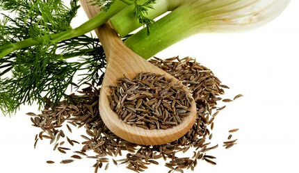 رازیانه گیاه دارویی شفابخش برای سلامتی 