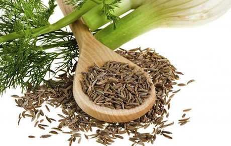 رازیانه گیاه دارویی شفابخش برای سلامتی 
