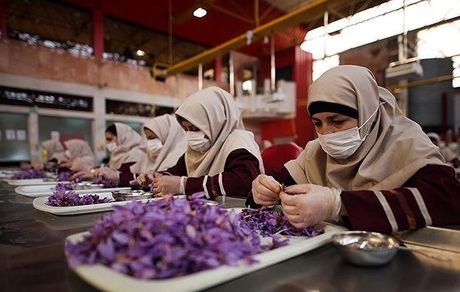 صاحبان مشاغل خانگی خود را بیمه کنند