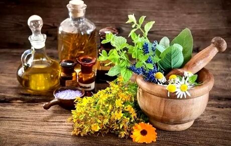 برداشت ۱۵۰ گونه گیاه دارویی در استان فارس