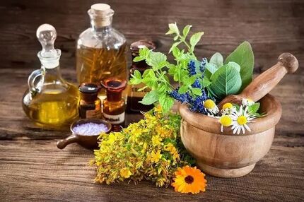 برداشت ۱۵۰ گونه گیاه دارویی در استان فارس