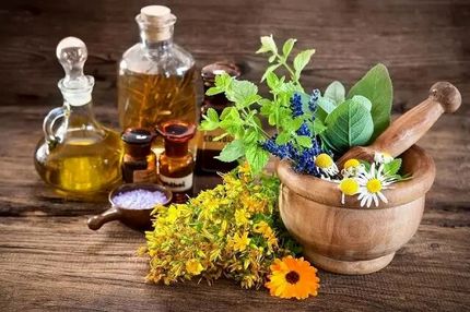 برداشت ۱۵۰ گونه گیاه دارویی در استان فارس