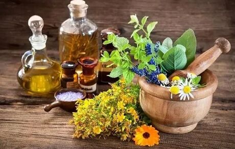 برداشت ۱۵۰ گونه گیاه دارویی در استان فارس
