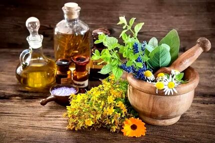 برداشت ۱۵۰ گونه گیاه دارویی در استان فارس