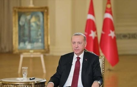 اردوغان دلیل قطع گاز صادراتی ایران را اعلام کرد / به تهران بدهی نداریم