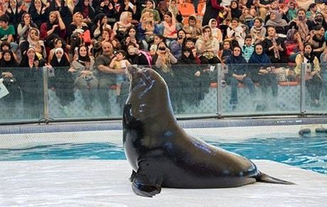 یک حیوان دیگر در باغ وحش ملارد درگذشت