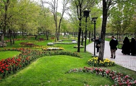 سرانه فضای سبز در یزد به ۱۶ مترمربع رسید