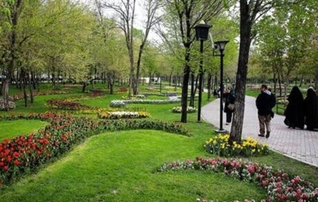 سرانه فضای سبز در یزد به ۱۶ مترمربع رسید
