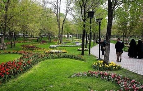 سرانه فضای سبز در یزد به ۱۶ مترمربع رسید