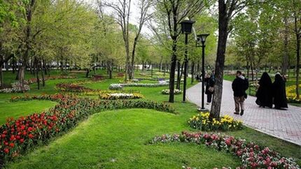 سرانه فضای سبز در یزد به ۱۶ مترمربع رسید