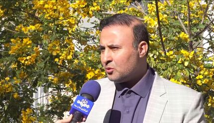 جشنواره ملی «ایران جوان بمان» در بوشهر برگزار می‌شود