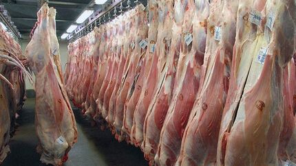 واردات گوشت از آفریقای جنوبی در راه است