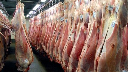 واردات گوشت از آفریقای جنوبی در راه است
