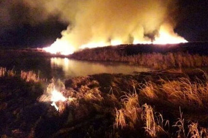 دستگیری مظنون آتش سوزی تالاب انزلی