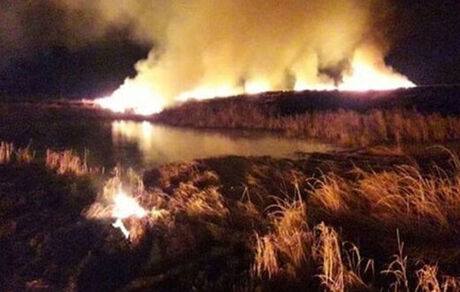 دستگیری مظنون آتش سوزی تالاب انزلی
