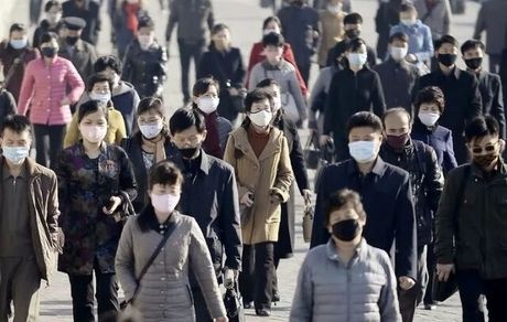 سازمان ملل: محدودیت‌های کرونایی کره‌شمالی نقض حقوق بشر را تشدید کرده است