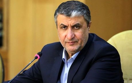 رئیس سازمان انرژی اتمی: سفر ۲ بازرس آژانس بین المللی انرژی اتمی به ایران با مجوز دبیرخانه شورای عالی امنیت ملی بود