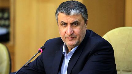 رئیس سازمان انرژی اتمی: سفر ۲ بازرس آژانس بین المللی انرژی اتمی به ایران با مجوز دبیرخانه شورای عالی امنیت ملی بود