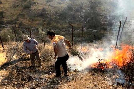 وقوع ۲۷ حریق جنگلی در شمال کشور از ابتدای آذر